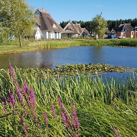 Seeschwalbe Modern Retreat Prázdninový dům *